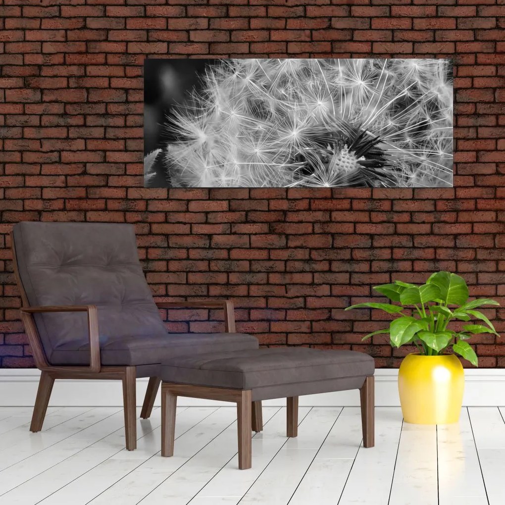 Tablou - mulțime de păpădii (120x50 cm)