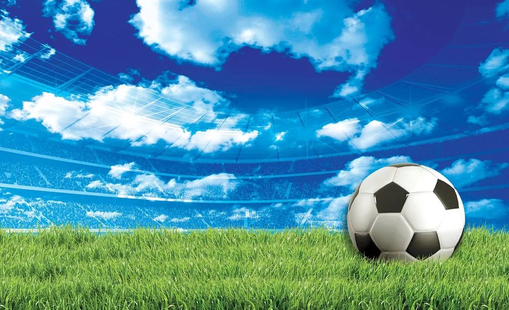 Fototapet - Fodbal pe iarbă (152,5x104 cm), în 8 de alte dimensiuni noi