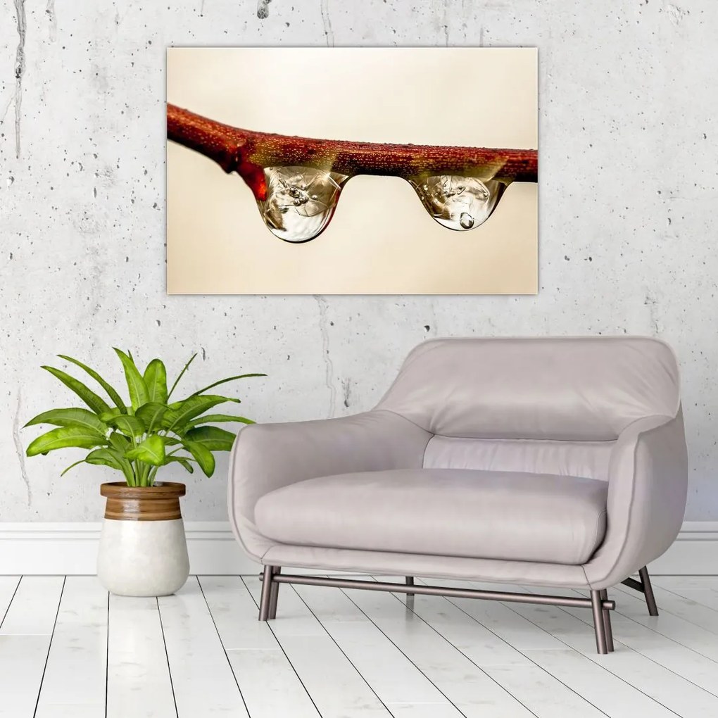 Tablou cu picături de apă pe creangă (90x60 cm)