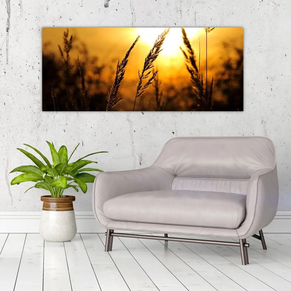 Tablou - Apus de soare (120x50 cm)