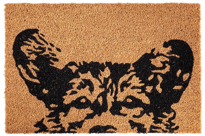 Rogojină din fibre de cocos CIOBANESC GERMAN 40 x 60 cm