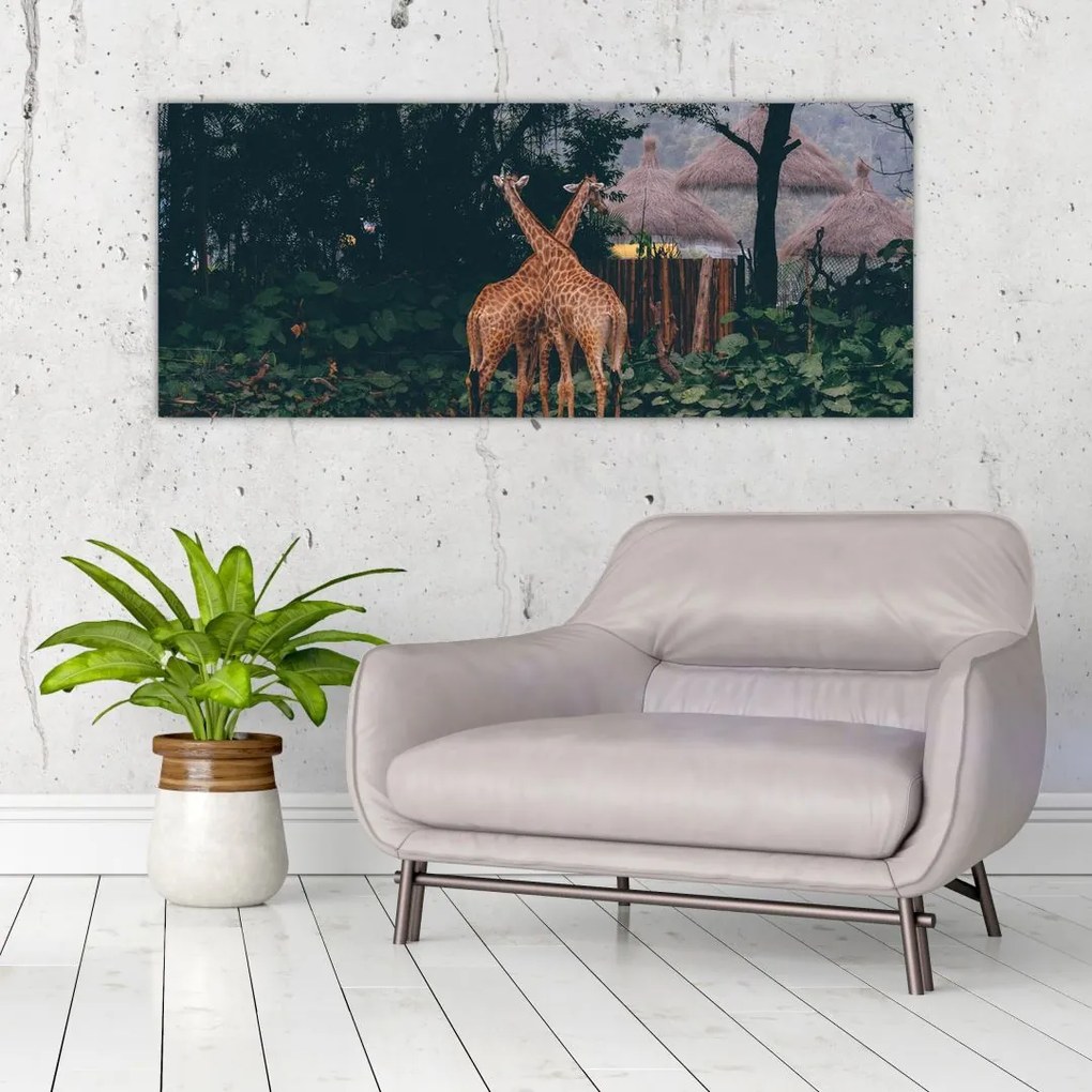 Tablou cu două girafe (120x50 cm)