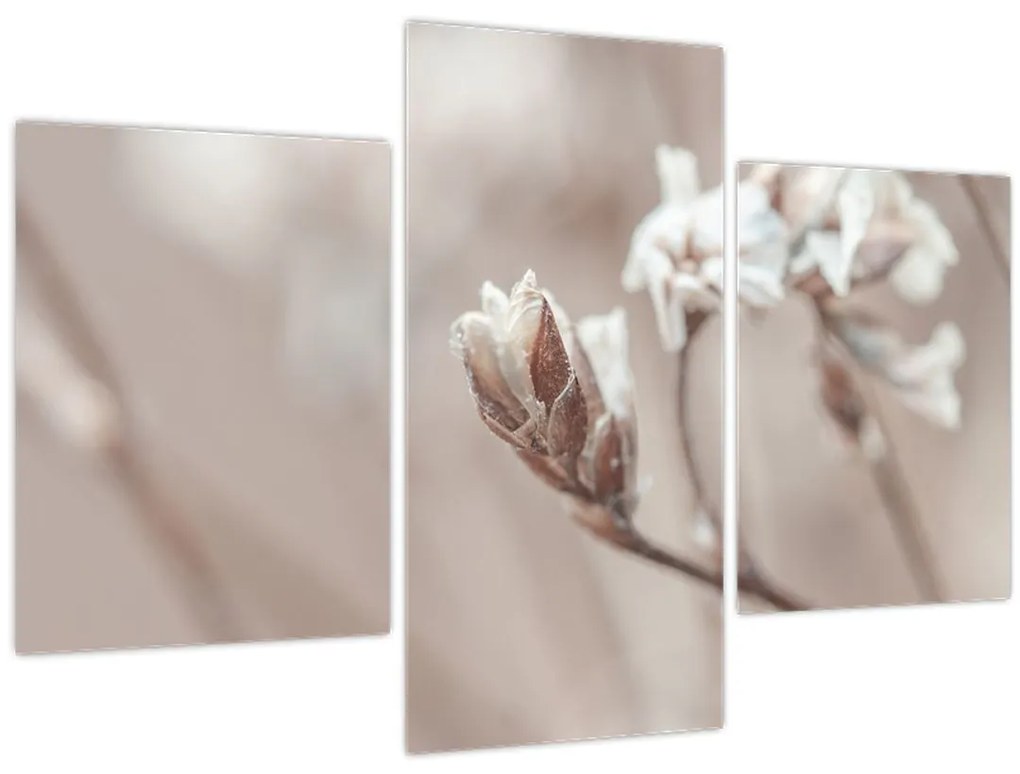 Tablou - Detaliu ramură (90x60 cm)