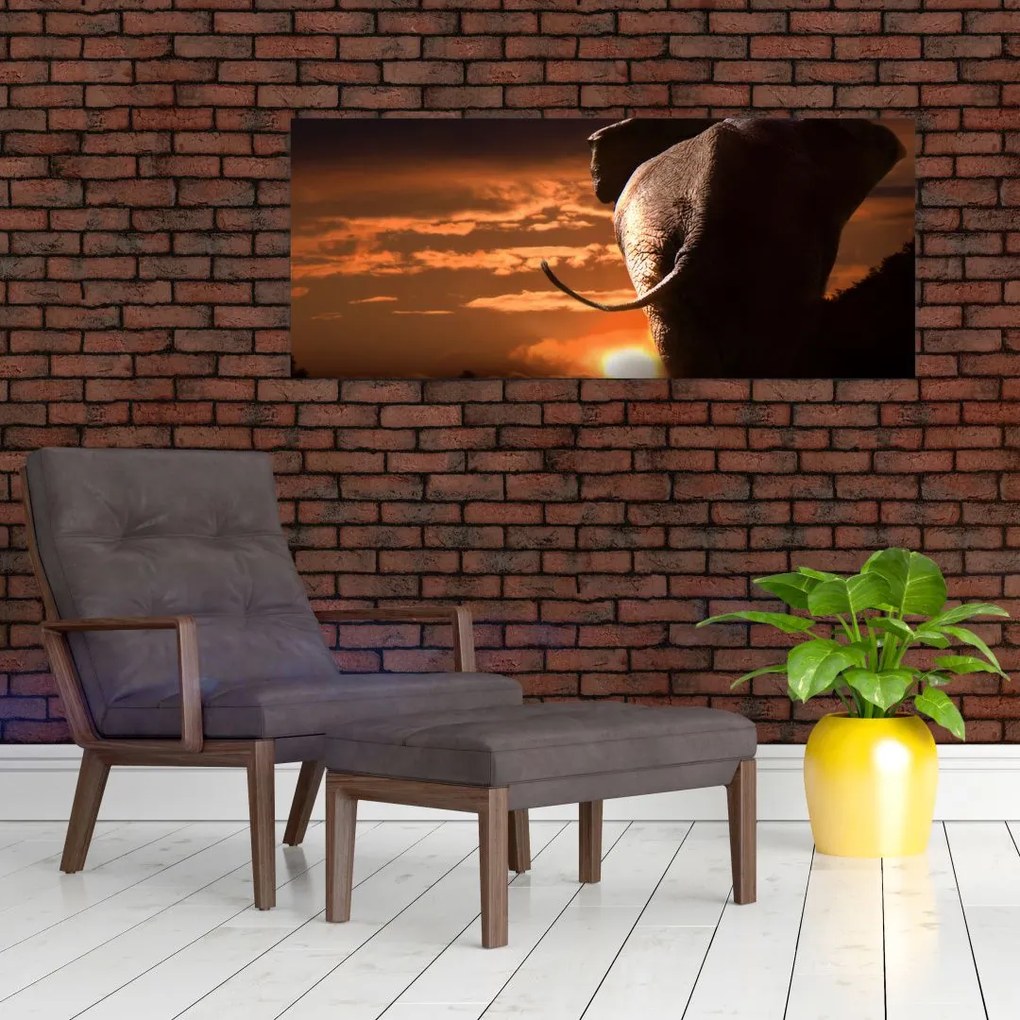 Tablou cu elefant (120x50 cm)