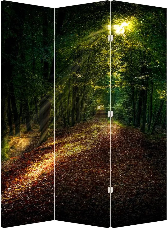 Paravan - Poteca prin pădure (126x170 cm)