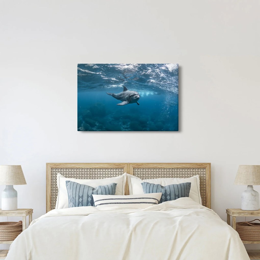 Tablou - Delfin sub apă (90x60 cm)