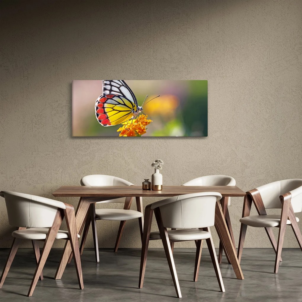Tablou - Fluture pe floare (120x50 cm)
