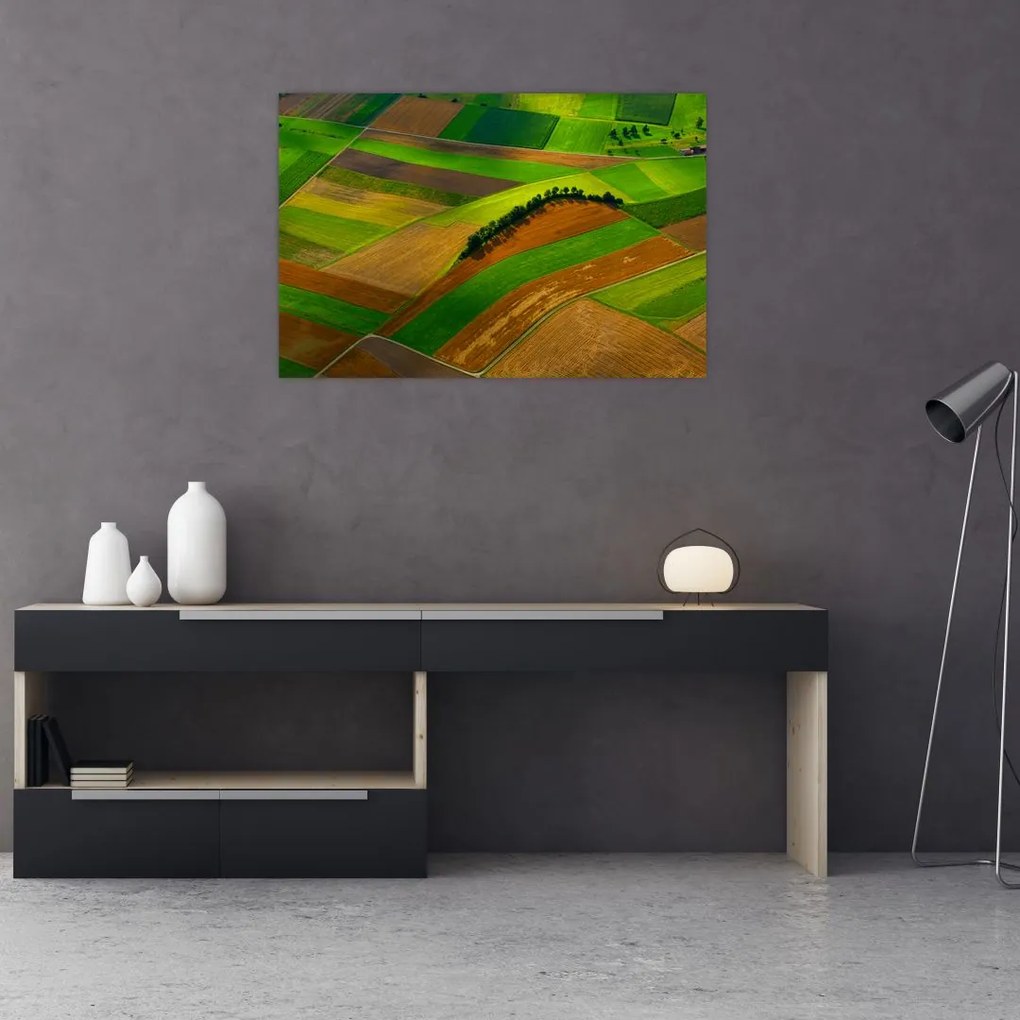 Tablou - Lan, luncile (90x60 cm)