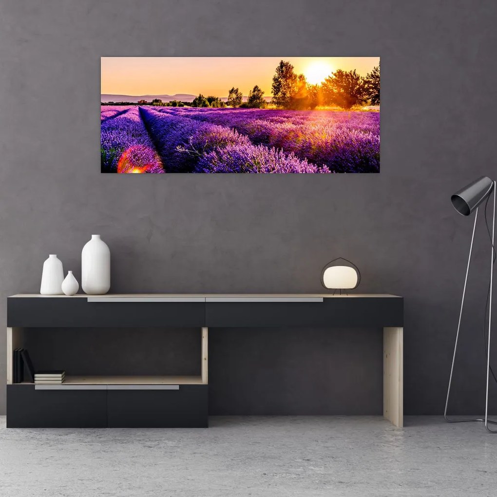 Tablou cu câmp de lavanda (120x50 cm)
