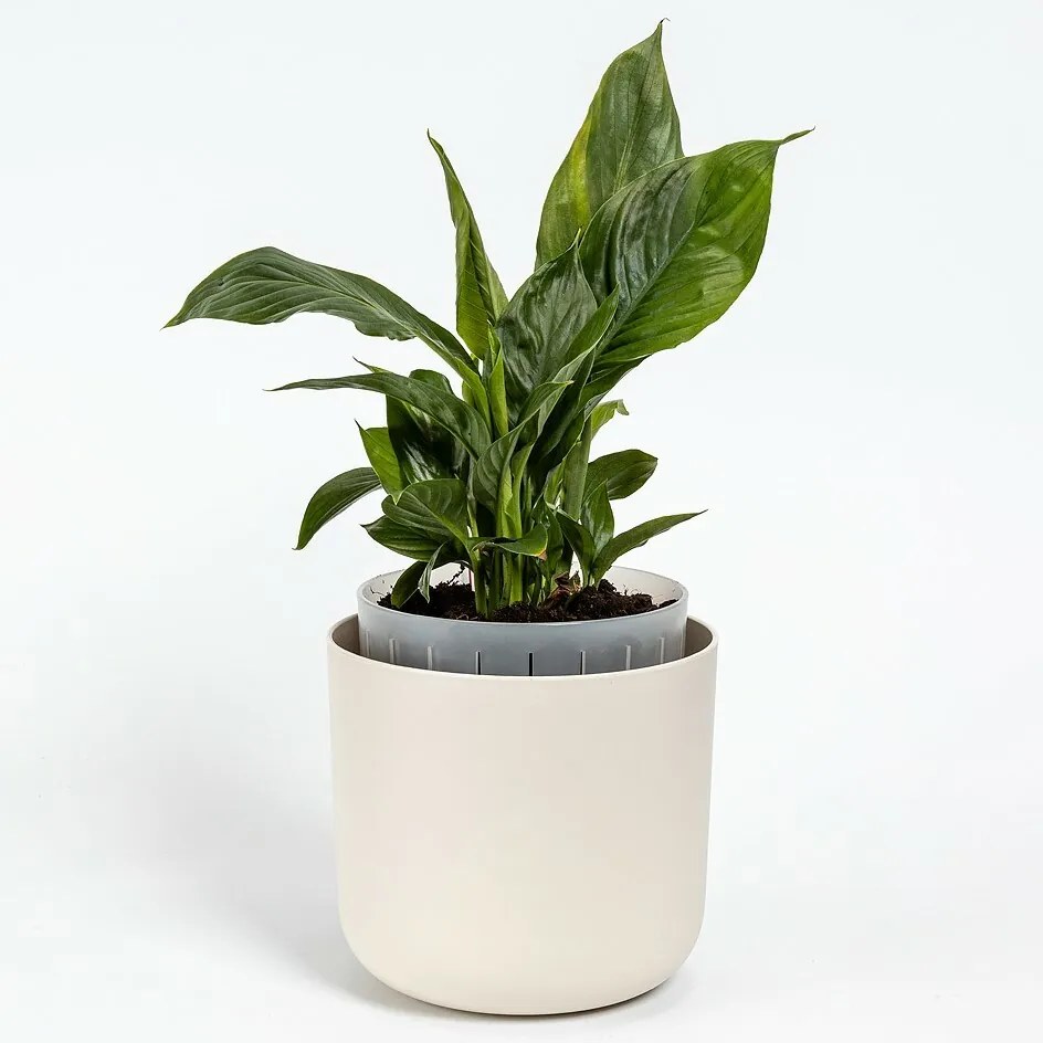 Plastia Ghiveci cu auto-apărare Tolita Air cream,16 cm diametru, diam. 16 cm