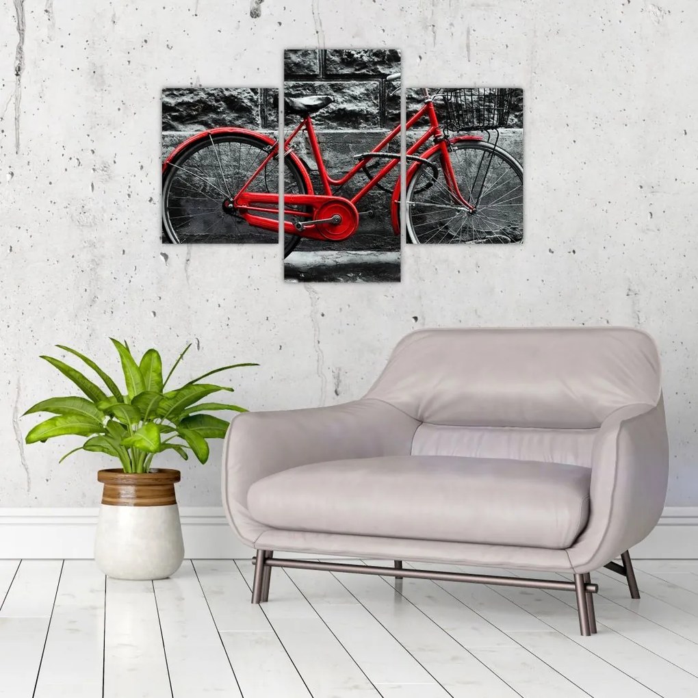 Tablou - Bicicleta istorică (90x60 cm)