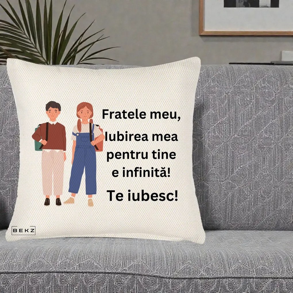 Cadou pentru Frate - Perna Personalizata Fratele Meu Te Iubesc Elevi Ilustratie Colorata, 40x40 cm, Crem Reliefat, Husa Detasabila, Perna Inclusa, BEKZ®