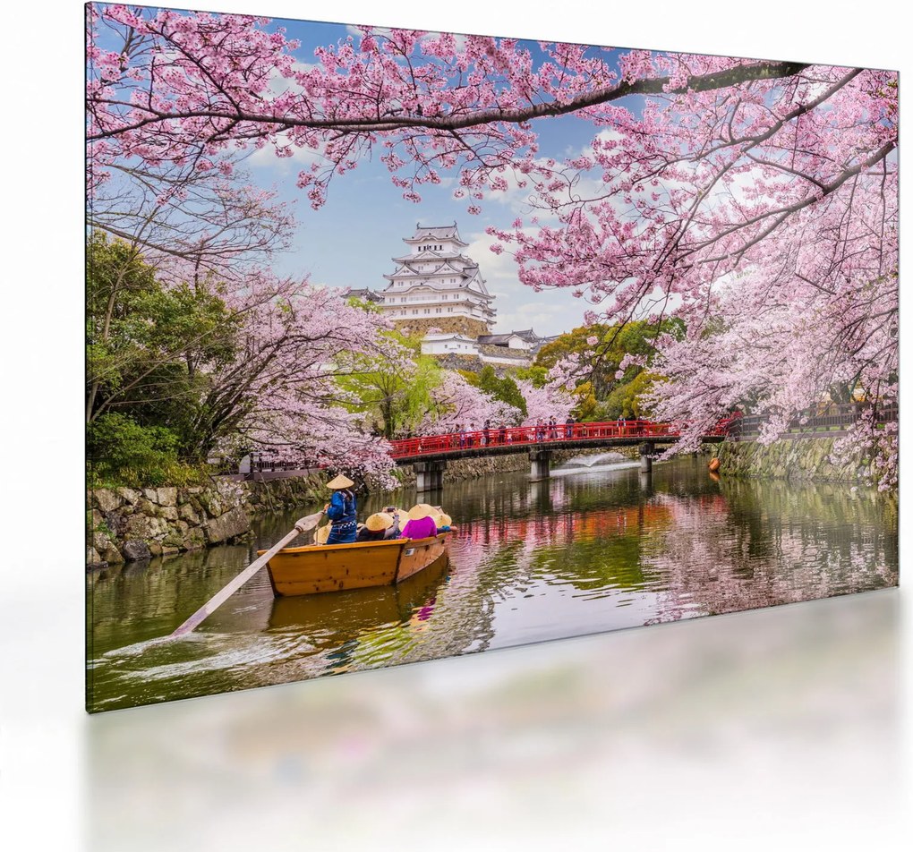 Tablou pe sticlă cu cireș japonez (70x50 cm)