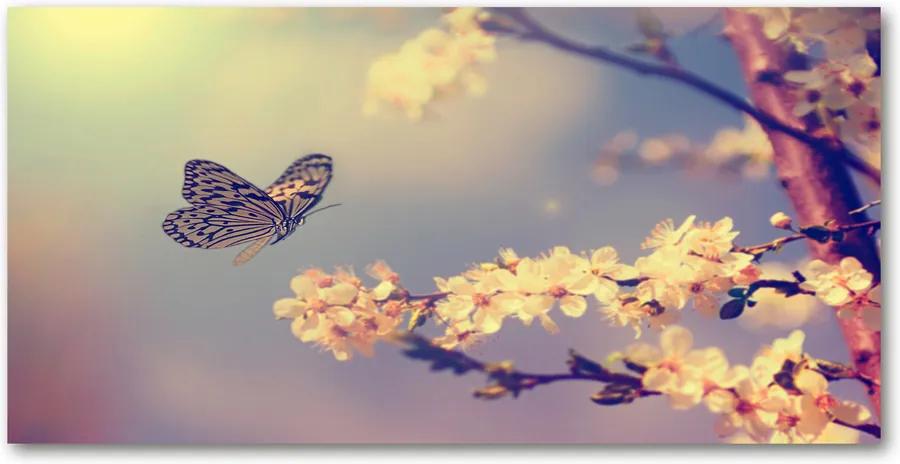 Imagine de sticlă Floare de cireș și fluture