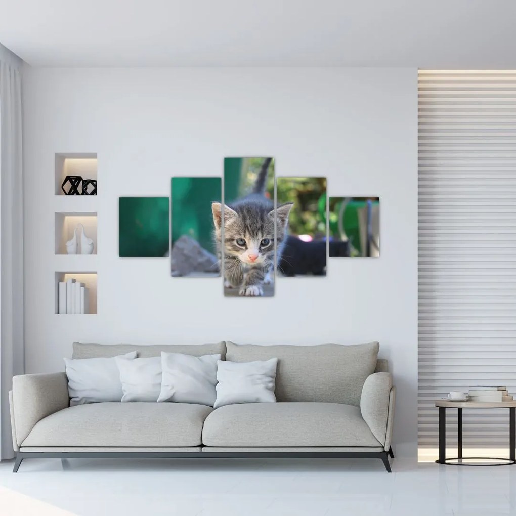 Tablou cu pisicuțe (125x70 cm), în 40 de alte dimensiuni noi