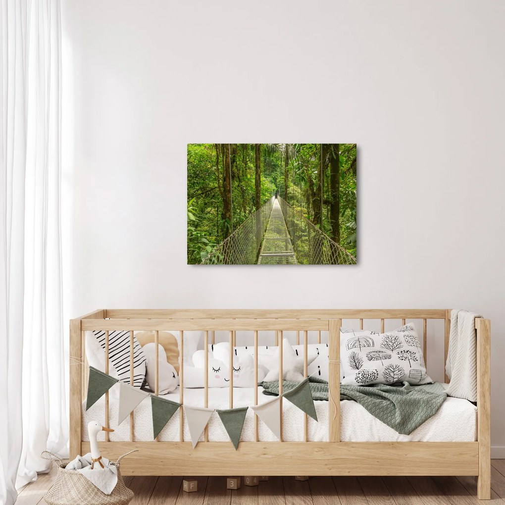 Tablou - Pod suspendat (70x50 cm)