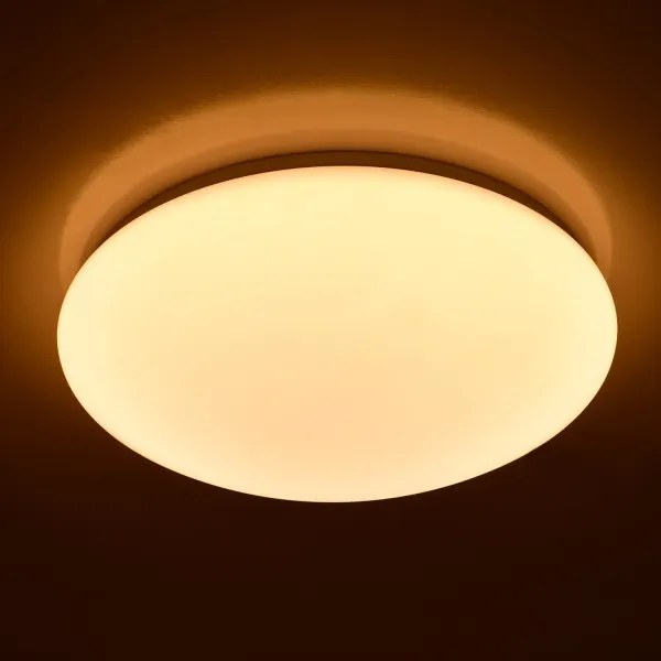 Brilagi - Plafonieră LED OPAL, 24W, 230V