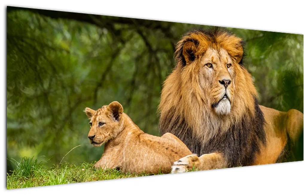 Tablou cu lei (120x50 cm)