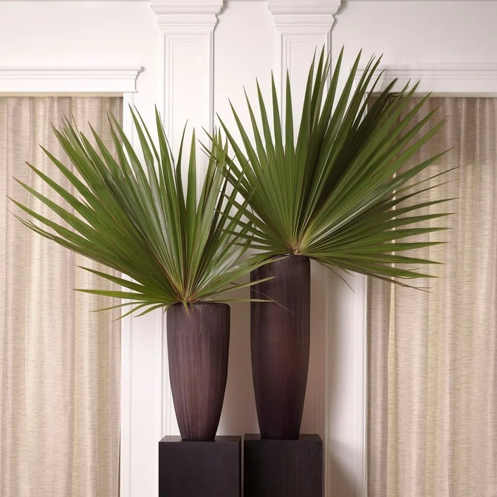 Vaza, Vas decorativ LUX din sticla Isandro XL