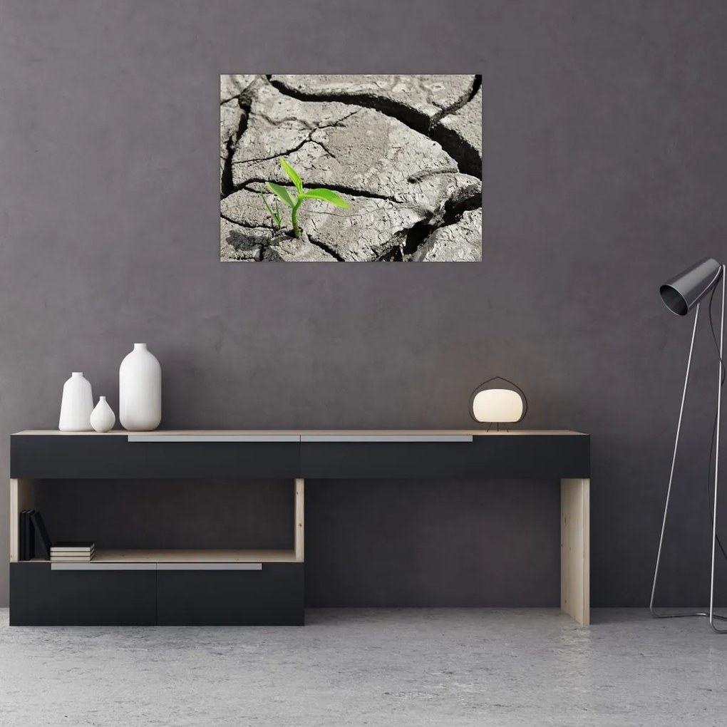 Tablou - Fisuri (70x50 cm)