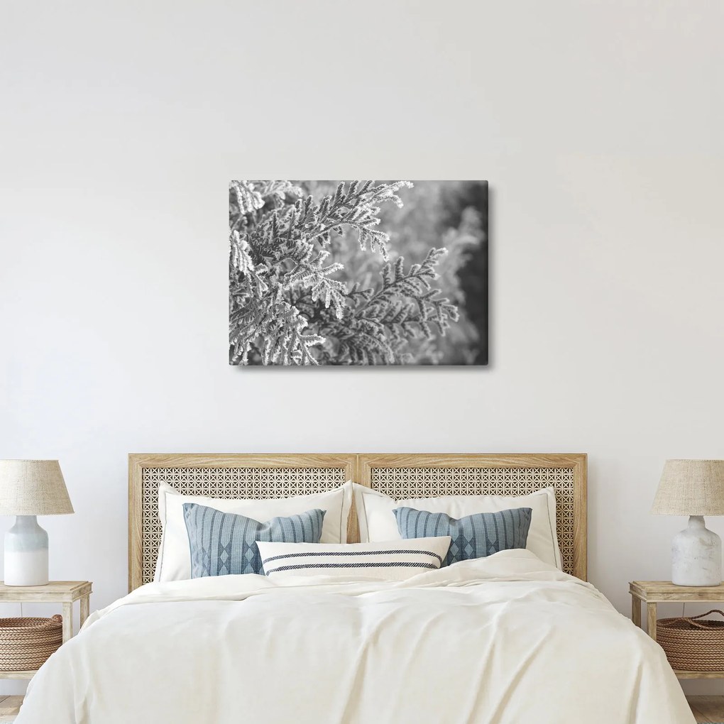 Tablou - Pădure de molid (70x50 cm)