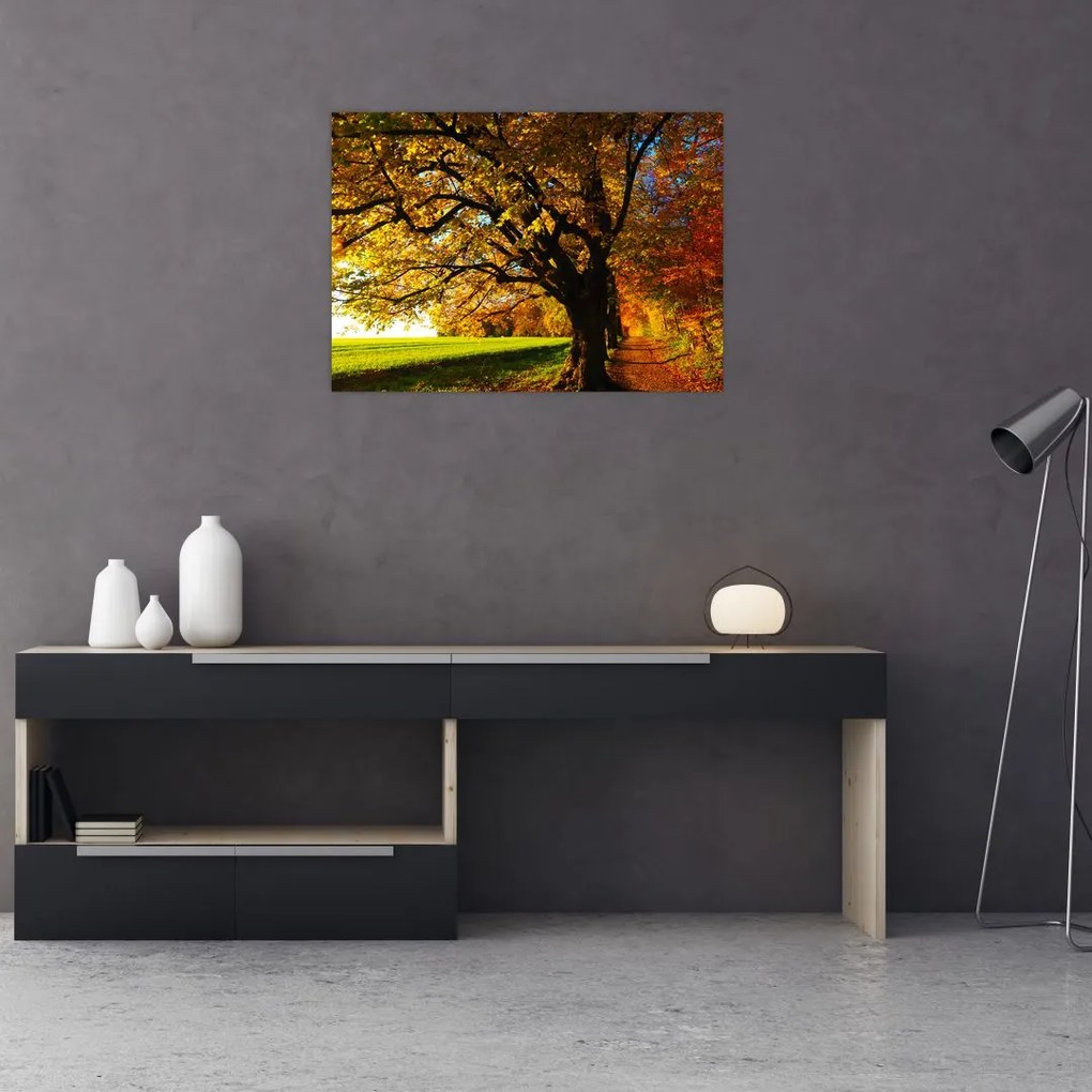 Tablou cu toamna (70x50 cm)