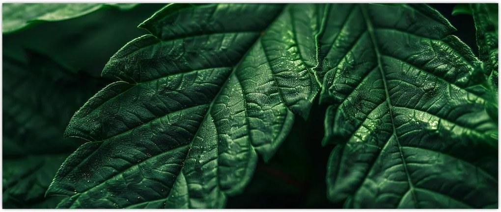 Tablou - Detaliu al foii (120x50 cm)