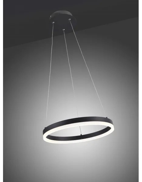 Lustră LED pe cablu dimabilă TITUS LED/28W/230V Paul Neuhaus 2381-13