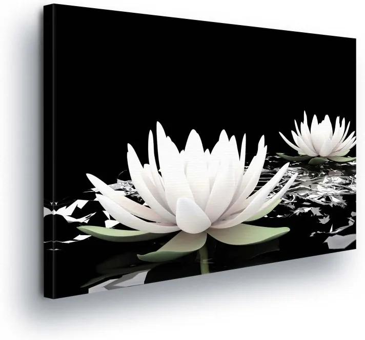GLIX Tablou - Black and White Water Lily II 100x75 cm
