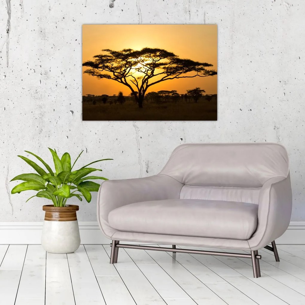 Tablou pe sticlă - Savana africană (70x50 cm)