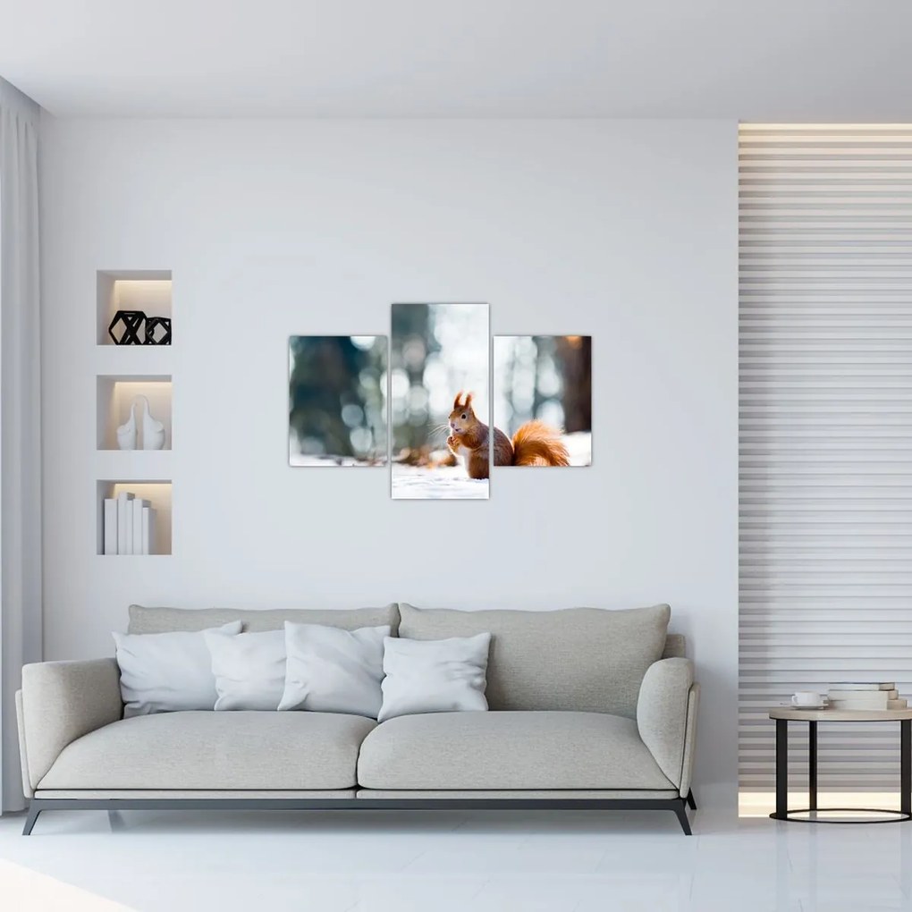 Tablou - Veveriță (90x60 cm)