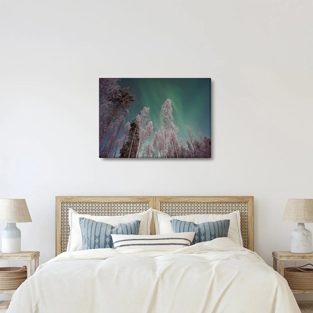 Tablou cu aurora borealis deasupra pomilor înghețați (70x50 cm)