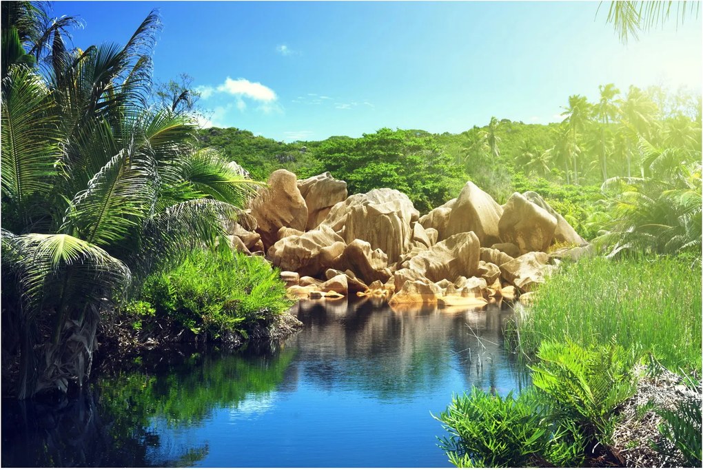 Tablou cu lac în jungla din Seychelles (90x60 cm)