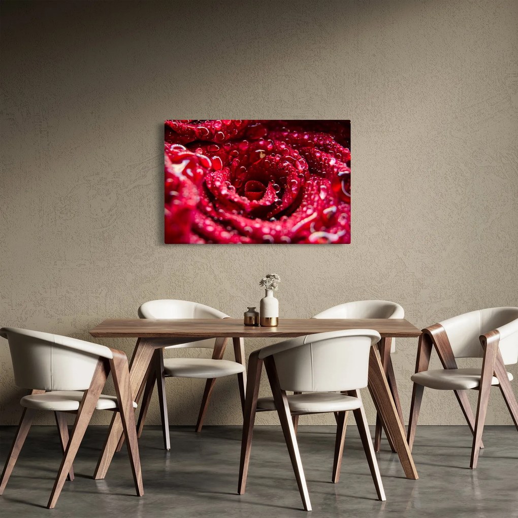 Tablou cu floarea trandafirului roșu (90x60 cm)