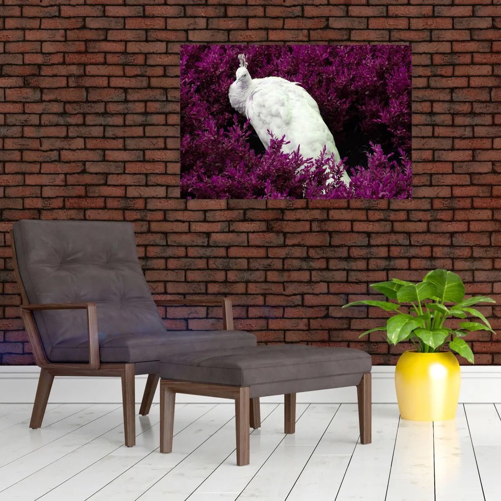 Tablou - Păun alb (90x60 cm)