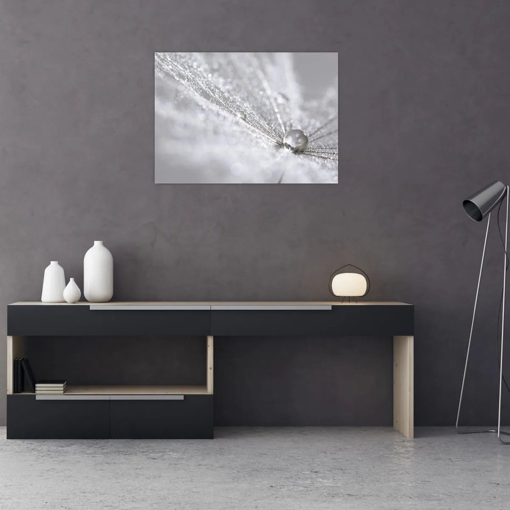 Tablou - Picătură de apă (70x50 cm)