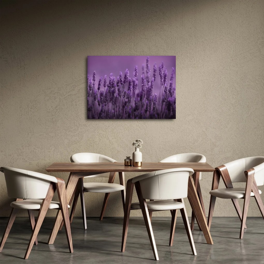 Tablou - Lavanda (70x50 cm)
