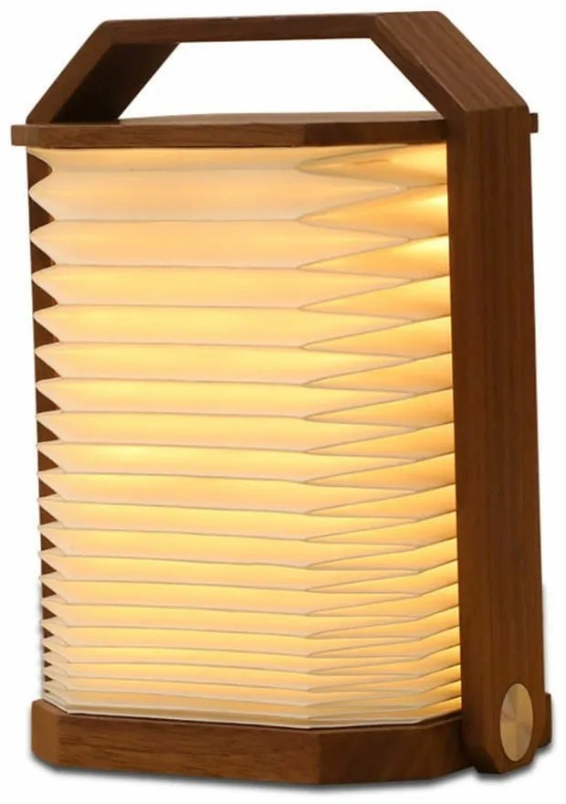 Decorațiune luminoasă albă/în culoare naturală închisă cu USB Origami – Gingko