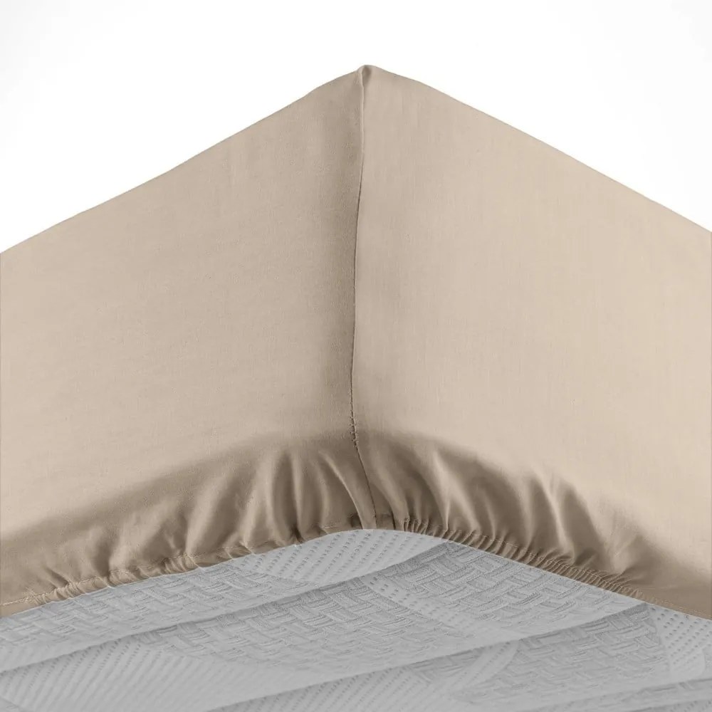 Cearceaf maro deschis din bumbac cu elastic 160x200 cm Lina – douceur d'intérieur