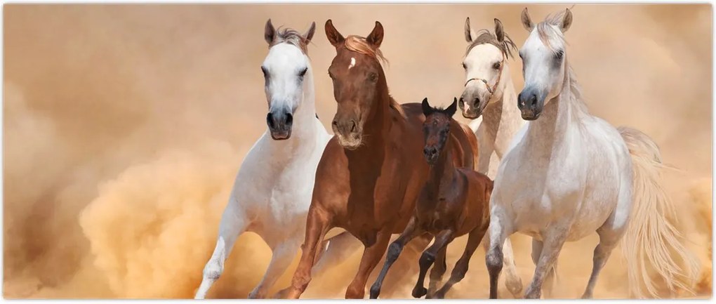 Tablou - Herghelie de cai (120x50 cm)