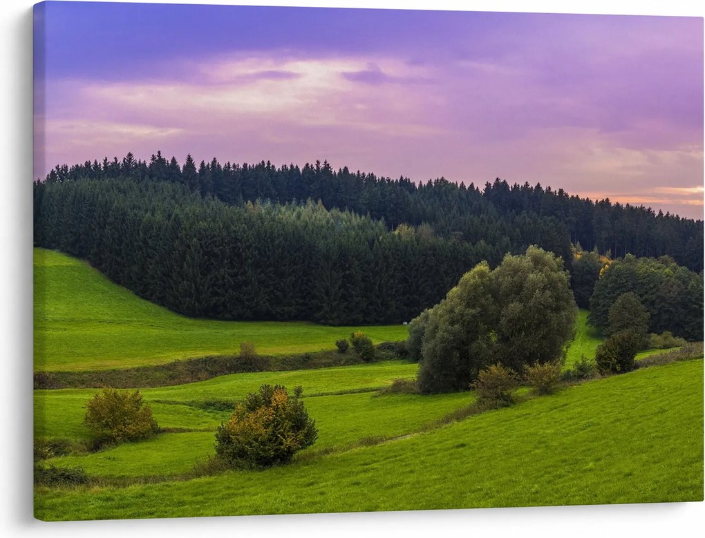 Tablou cu lunca (70x50 cm)