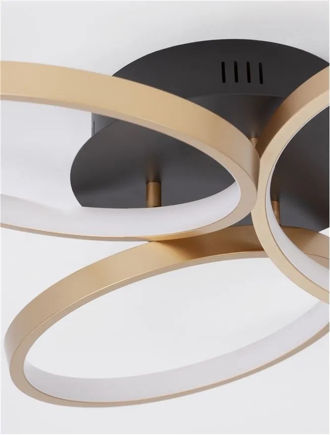 Lustra LED aplicata design modern ELIZE I 28W