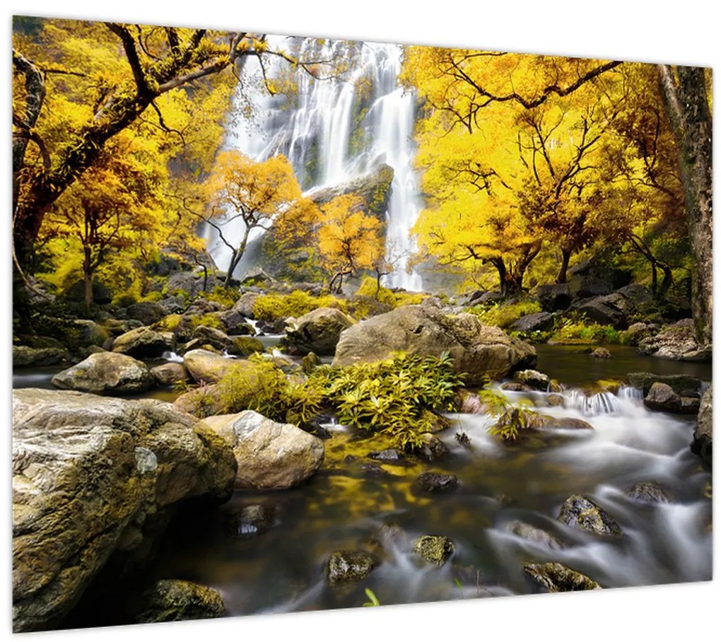 Tablou - Cascade în peisaj de toamnă, galben (70x50 cm)