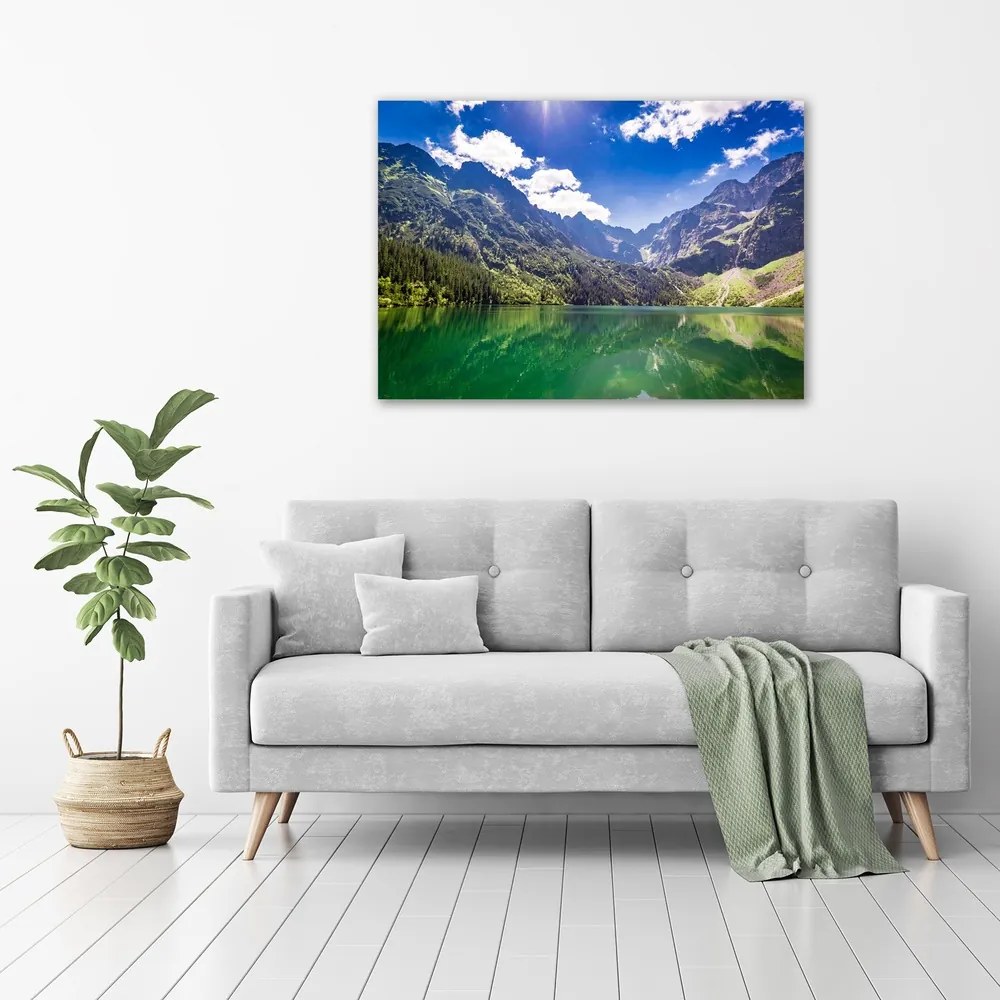 Pictură pe pânză Marine ochi tatry