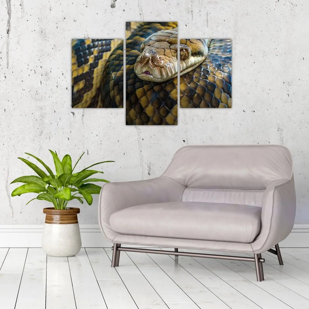 Tablou - Piton (90x60 cm)