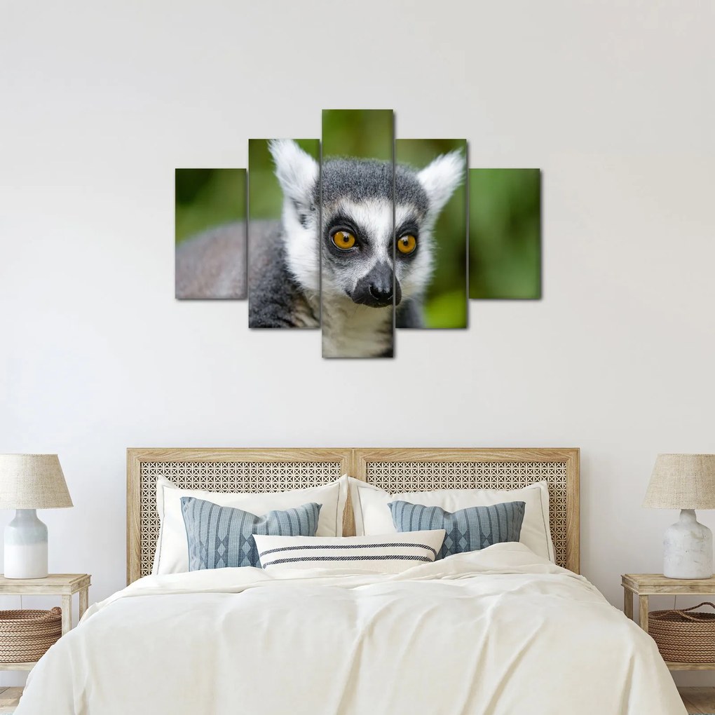 Tablou cu lemur (150x105 cm)
