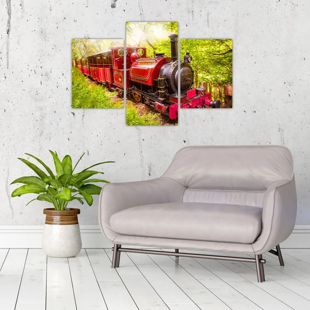 Tablou - Tren cu aburi (90x60 cm)