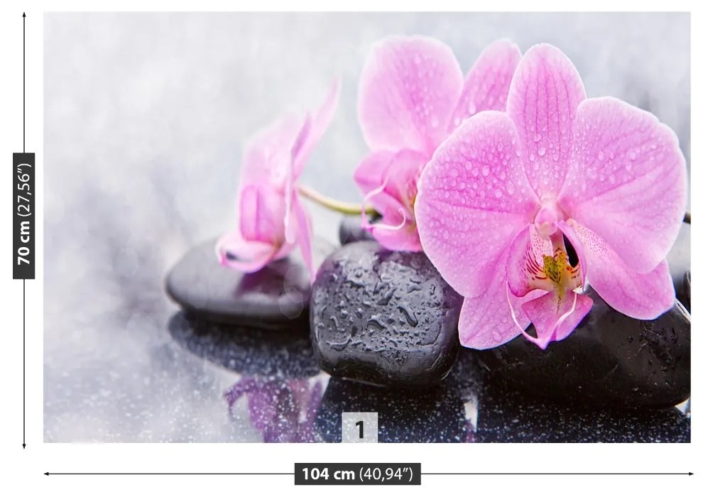 Fototapet Orchid Stones