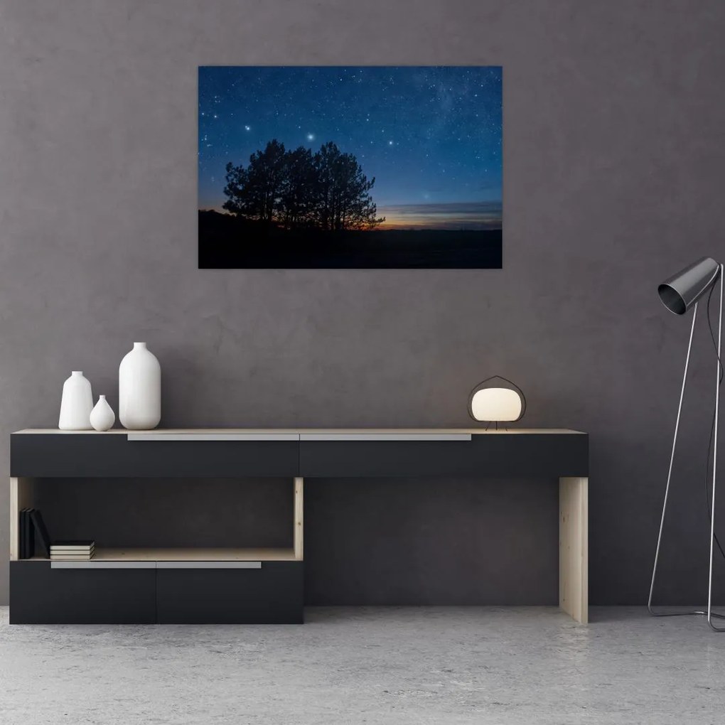Tablou cu copaci noapte (90x60 cm)