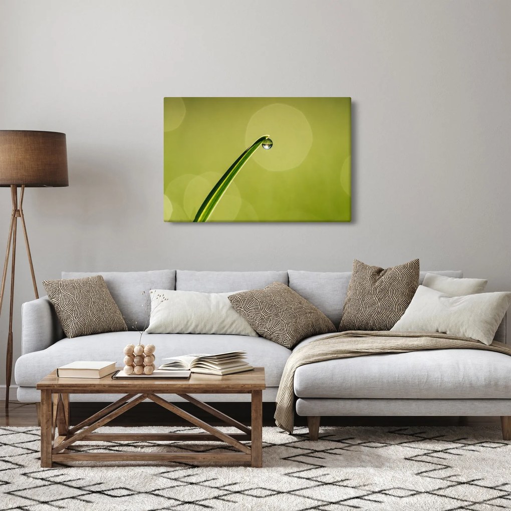 Tablou cu picătură de apă pe iarbă (90x60 cm)